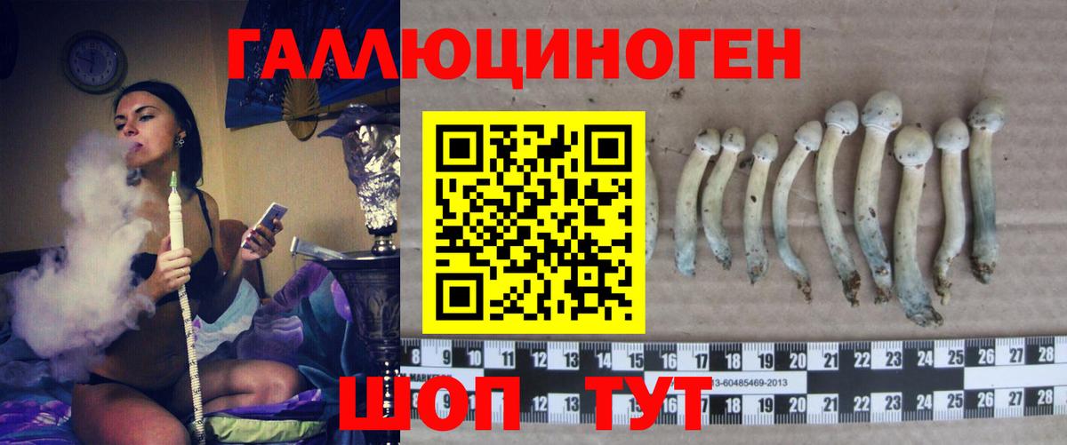 Красногорск  Галлюциногенные грибы мицелий  Вход с VPN 